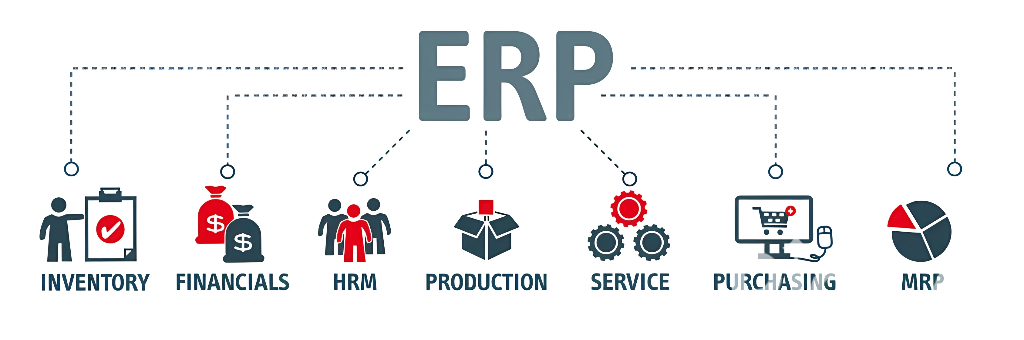 ERP Implementation Process